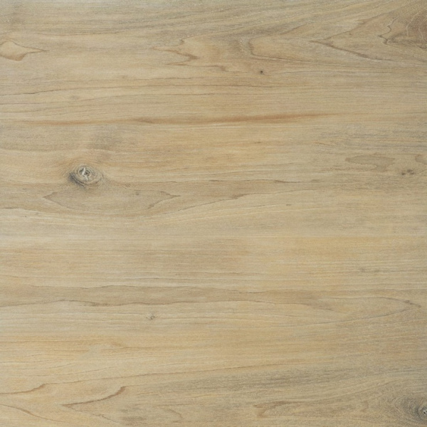 Cerrad Ragaya 5900423052189 Cream 59,7x59,7