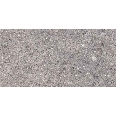 QUA Granite Calm Ageless Grey 60x120