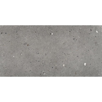 Provenza Ego EGP2 Grigio Scuro 60x120