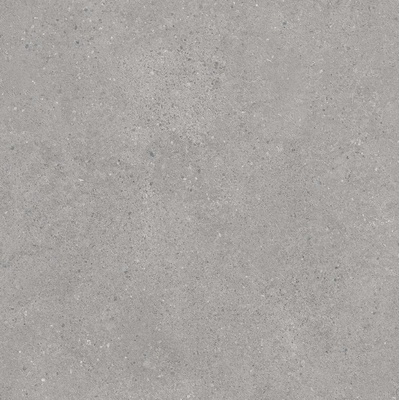 Kerama Marazzi Фондамента DL600920R Серый Светлый 60x60