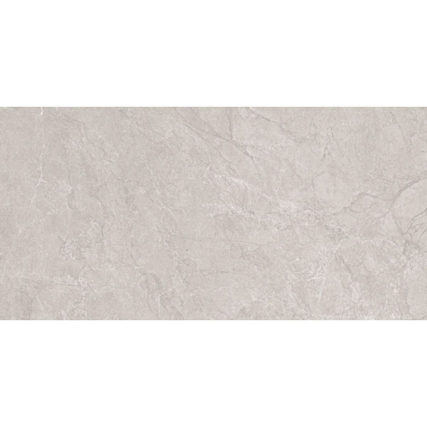 Neodom Stone N20555 Aristo Grey Tm 60x120