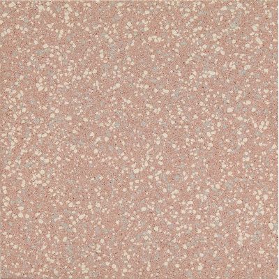 Casalgrande Padana Granito 3 Caracas Levigato 8mm 30x30