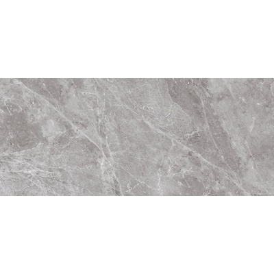 Neodom Titanium N80004 Belgium Grey Polished 120x280