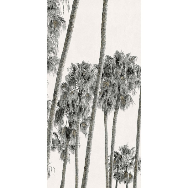 ABK Wide & Style 0009393 Hollywood B 120x280