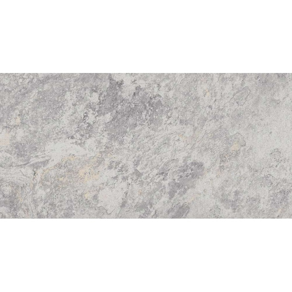 Eurotile Image 795 IMG1GY Silver 60x120