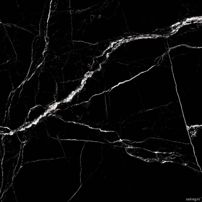 Staro Oasis Fossil Slate High Glossy 60x60