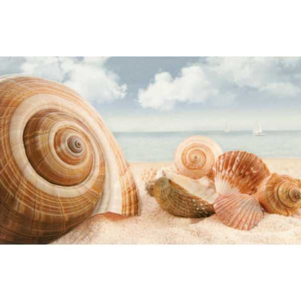 М- Квадрат Адриатика 121917 Ракушки 25x40