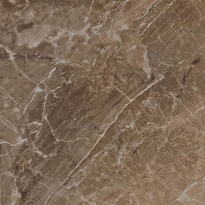 Versace Marble 240017 Marrone Onice Lap. 58.5x58.5
