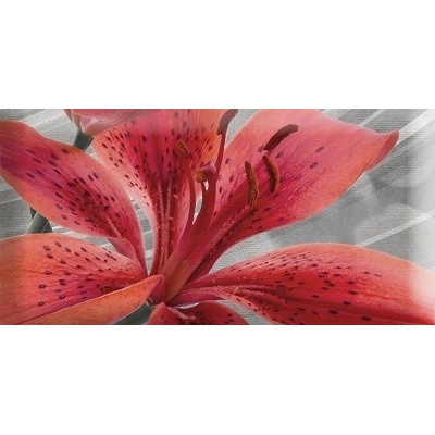 Absolut Keramika Monocolor Mix Flowers RBW 6 7.5x15