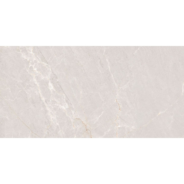 Neodom Stone N20552 Persian Grey Matt 60x120