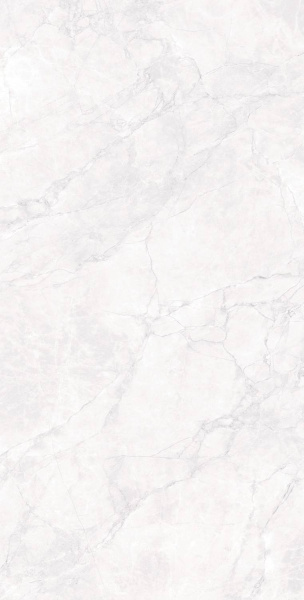 Arcadia Ceramica Arctic CR9018-A White Carving 60x120