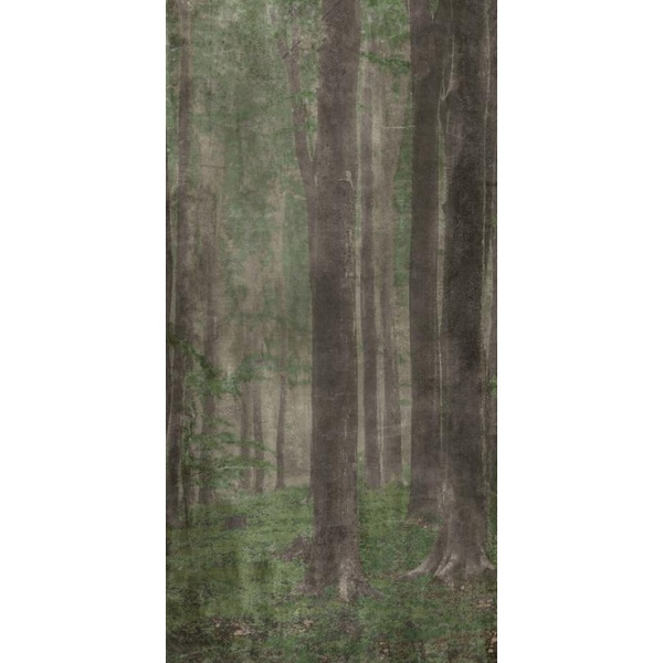 ABK Wide & Style 0009507 Woods A 120x280