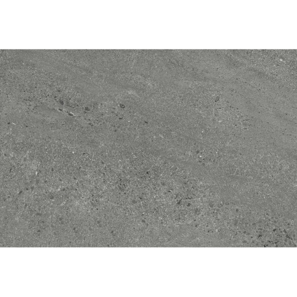 Caesar Portraits AG6D Wells RT 40x60