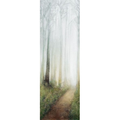 Cotto D’Este Wonderwall Dream B 100x300
