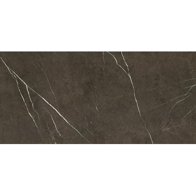Apavisa Pietra 8431940311673 Grey Natural 119.3x260
