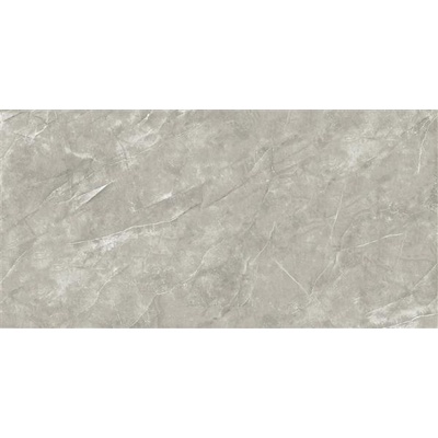 Sina Tile Nismo 2666 Grey polish 60x120