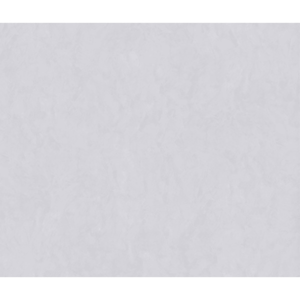 Zodiac Ceramica Coating MN212AY281206 Concept Mist Matt 120x280