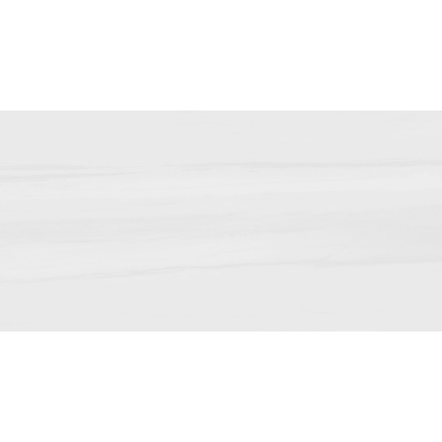 Pamesa Dolomite 004.869.0150.11380 Bianco 60x120