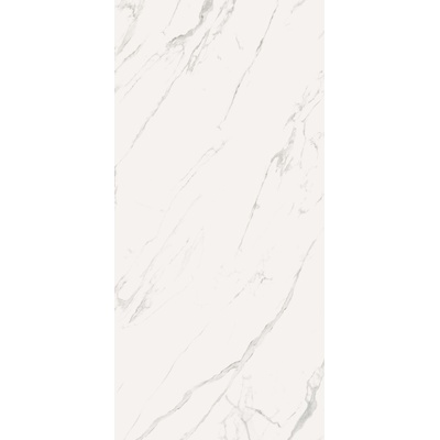 Casalgrande Padana Marmoker Statuario Grigio Lucido-2 118x278