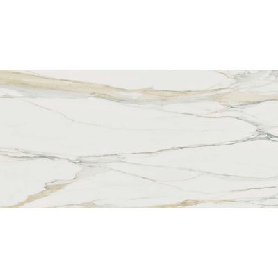 Rex Ceramiche I Classici Di Rex 753293 Calacatta Gold Matte 60x120