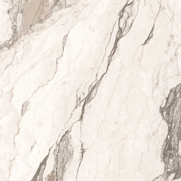 Cerdomus Omnia 88951 Camouflage Safe 60x60