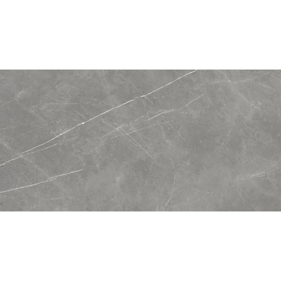 Atlas Concorde Russia Forte Dei Marmi 610010002710 Elegant Grey Rett 80x160