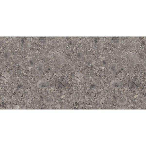 Ariana Futura 2950 Tortora Ret 60x120