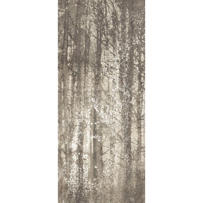 Fap Ceramiche Ylico fQWO Wood Fog 120x278