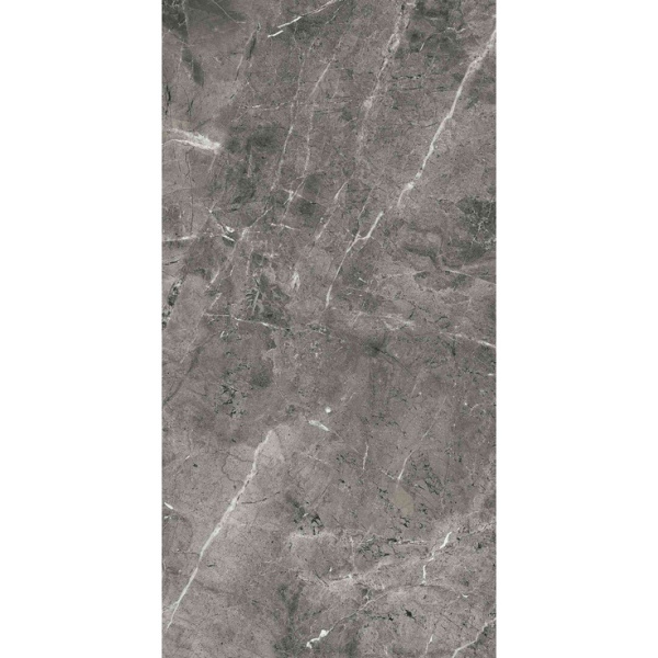 Arcadia Ceramica Florencia FP1028-A Grey FP 60x120