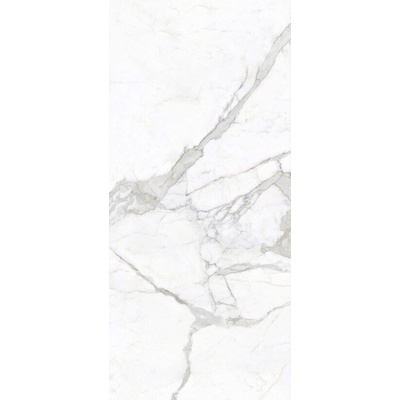 Zodiac Ceramica Calacatta Bianco MN011AY271206 Matt 6mm 120x270