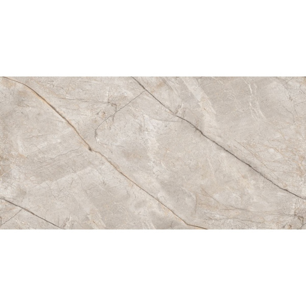 Neodom Marble N80016 Silver Stone Carving 60x120