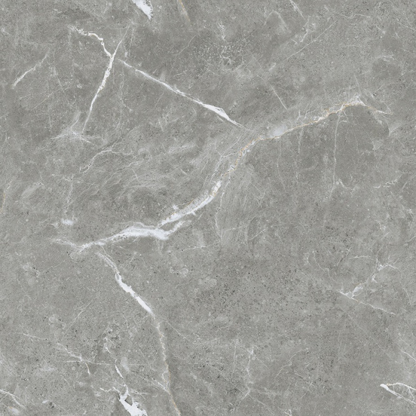 Ceradim Stone Cool Grey Полированный 60 60x60