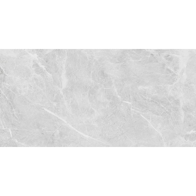 Neodom Belvedere N20467 Eva Grey Polished 60x120