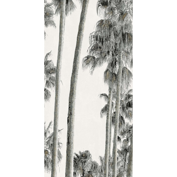 ABK Wide & Style 0009392 Hollywood A 120x280