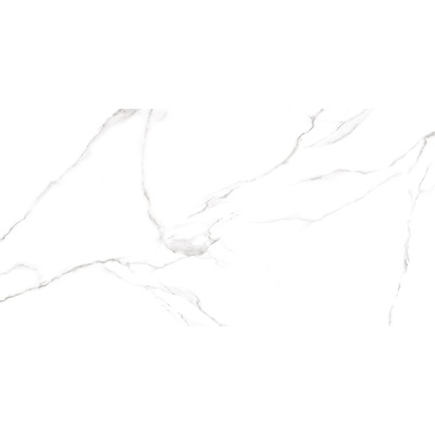 Alma ceramica Carrara GFU60120CRR00R Матовый 60x120