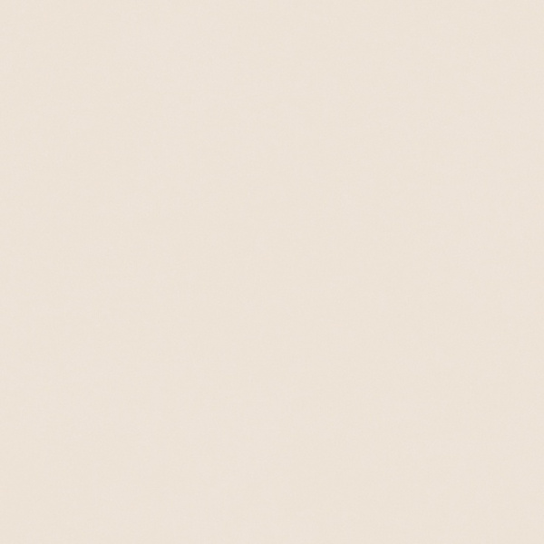 Decocer Chalet Cream 19,8x19,8