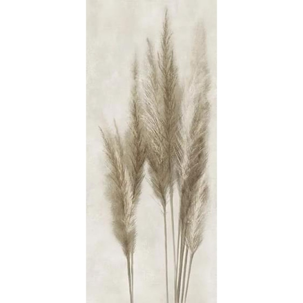 Caesar Deco Solutions AGUJ Pampa Faccia C 120x278