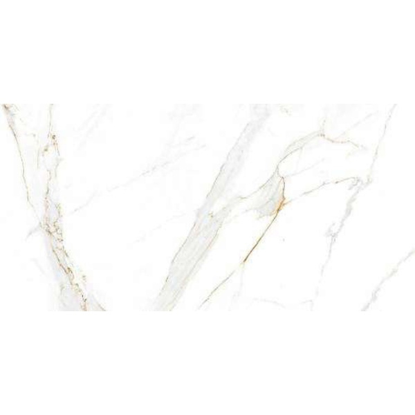 Absolut Gres Regal AB 1144G Carrara gloss 60x120
