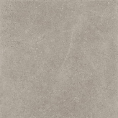 Panaria Prime Stone PGWPML2 Silver Lux Rect 60x60