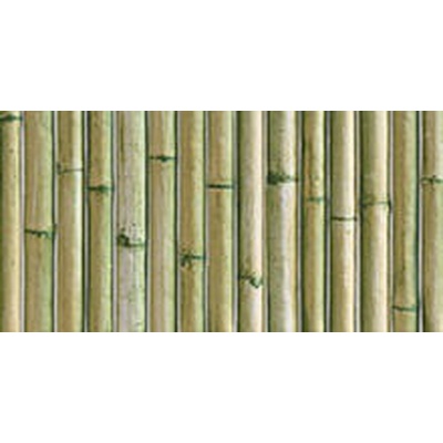 Mainzu Bamboo Green 15x30