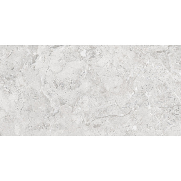 Infinity Ceramica Elegance Grey Glossy Silver Line 60x120