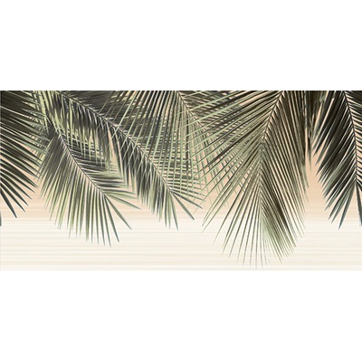 Alma ceramica Дель Маре ВС9ДМ001 24.9x50