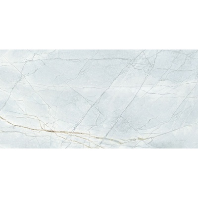 Ava Marmi 135064 Invisible Grey Lap. Ret. 60x120
