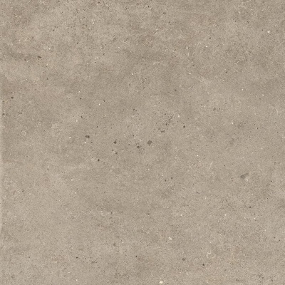 Impronta italgraniti Silver Grain SI0468 Taupe 60x60