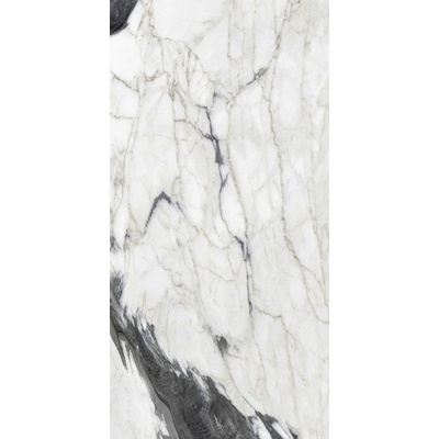 Rex Ceramiche Les Bijoux de Rex 766368 Calac Altissimo GLossy Ret 40x80