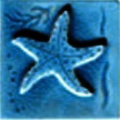 Cerasarda Pitrizza 1031853 Inserto Conchiglie Azzurro Mare 5x5