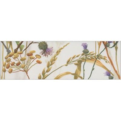 Kerama Marazzi Астория SST\A04\12105R Птицы Белый Rect. 25x8