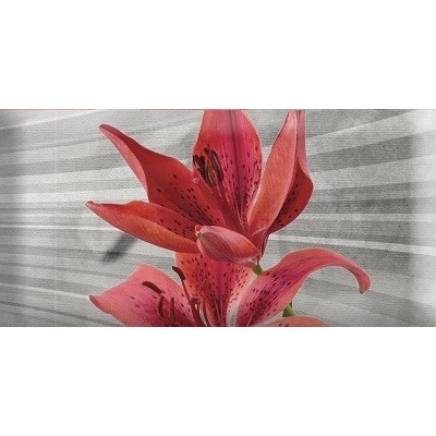 Absolut Keramika Monocolor Mix Flowers RBW 2 7.5x15