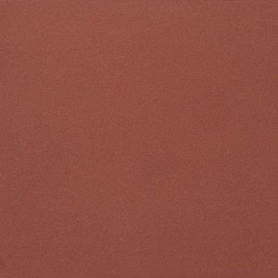 Casalgrande Padana Unicolore Technic 405713 Rosso Mattone Antibacterial 20x20