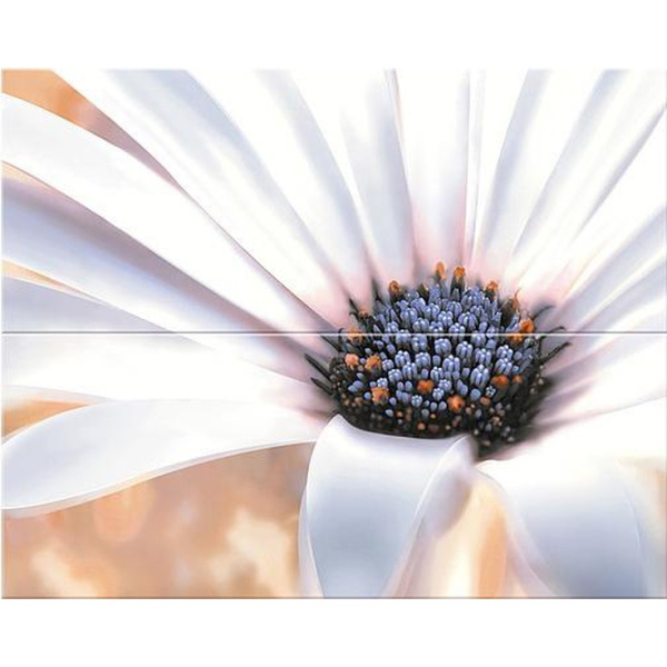 Azori Этель Камилла 50,5x40,2